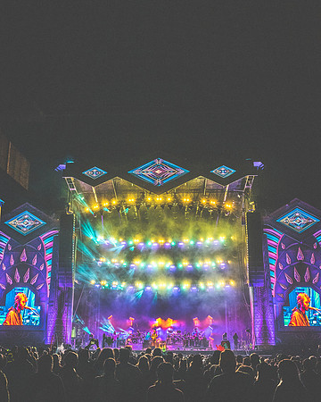 202306252138-BertaPhoto-Goose-Electric Forest-H0S_9854