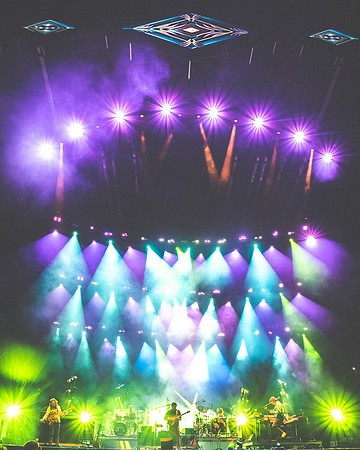 202306252150-BertaPhoto-Goose-Electric Forest-H0S_9915