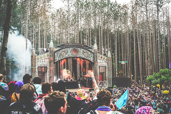 202306252013-BertaPhoto-Goose-Electric Forest-GSE06908