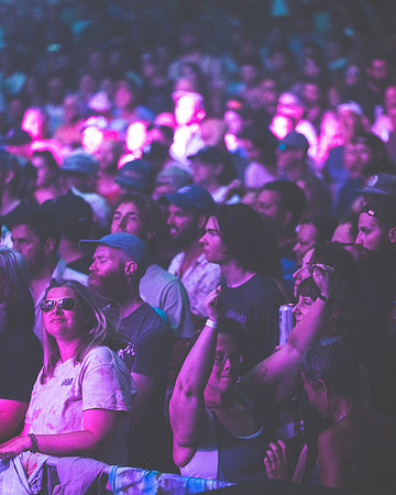 20230707-Goose-Bertaphoto-SPAC-H0S_6451