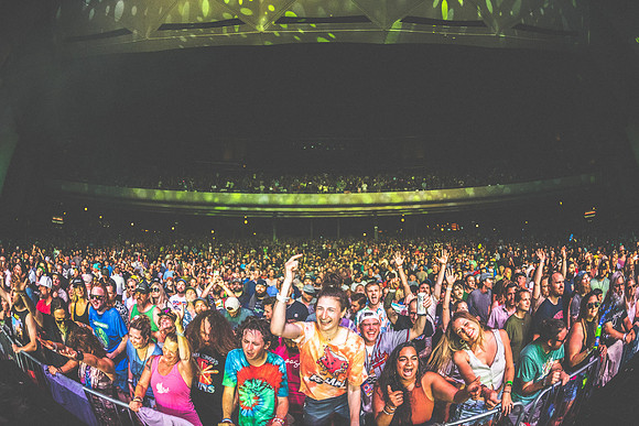 20230707-Goose-Bertaphoto-SPAC-H0S_6813