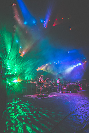 20230707-Goose-Bertaphoto-SPAC-GSE04823