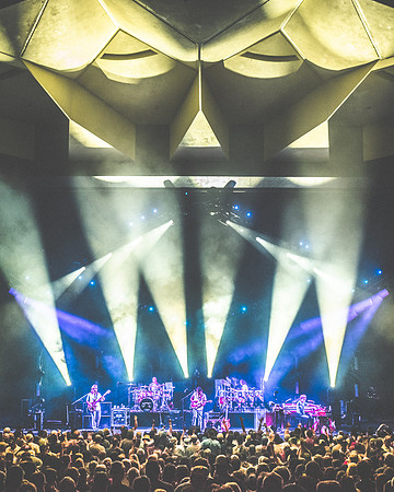 20230707-Goose-Bertaphoto-SPAC-H0S_6195