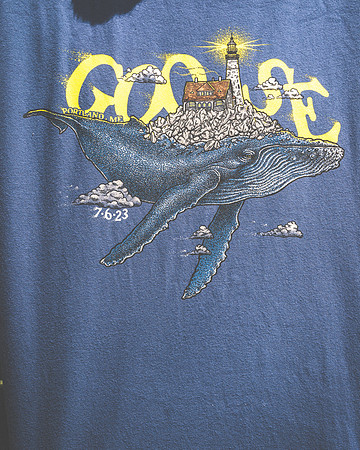 202307061235-BertaPhoto-Goose-Thompson's Point-GSE03399