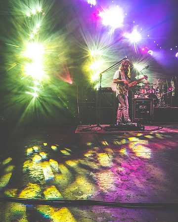 20230707-Goose-Bertaphoto-SPAC-GSE04814