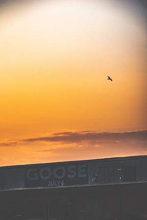 202307062002-BertaPhoto-Goose-Thompson's Point-H0S_5325