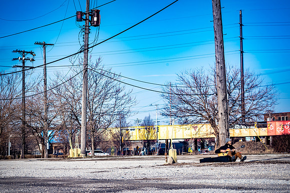 BertaGooseCleveland -08863