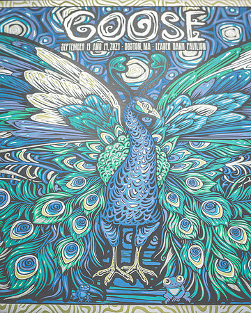 20230913-Bertaphoto-GOOSE-GSE05280