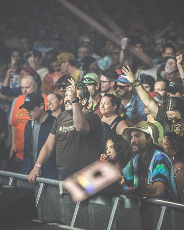 20230913-Bertaphoto-GOOSE-H0S_4941