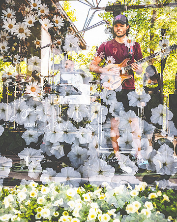 20230920-Bertaphoto-GOOSE-H0S_9011