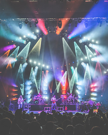 20230929-Bertaphoto-GOOSE-GSE02676-Enhanced-NR