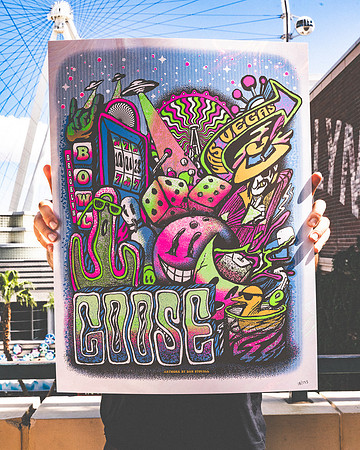 20231001-Bertaphoto-GOOSE-GSE04684