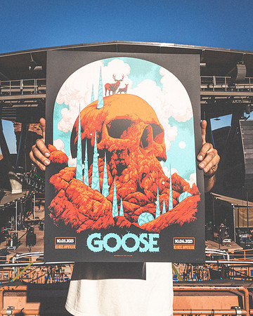 20231005-Bertaphoto-GOOSE-GSE09189