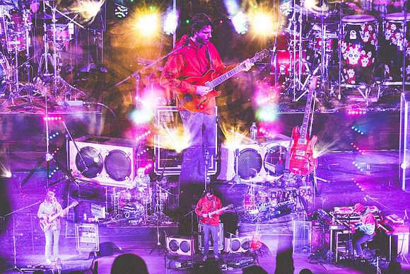 20231006-Bertaphoto-GOOSE-H0S_1065