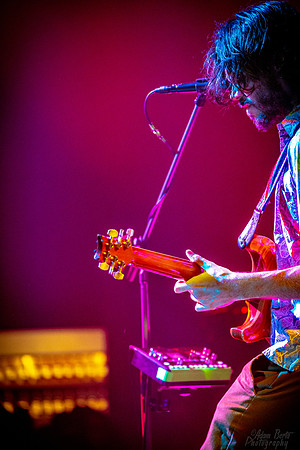 BertaGooseLouisvilleKY-01623
