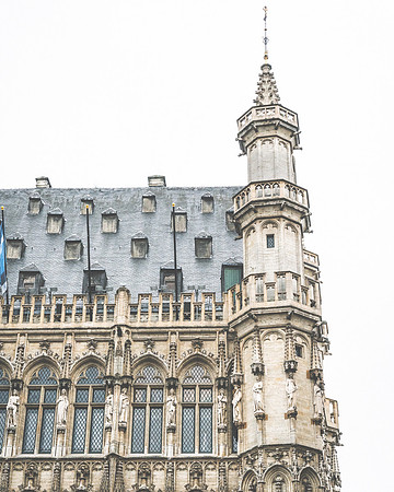 20231113-Bertaphoto-Europe-GOOSE-GSE04533