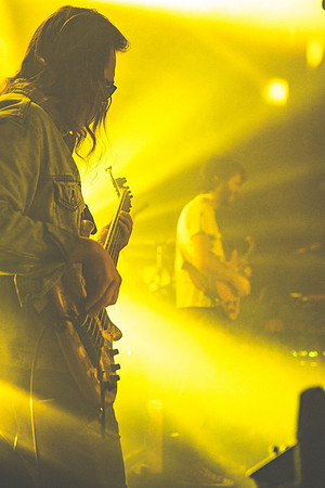 20231109-Bertaphoto-Europe-GOOSE-GSE02276