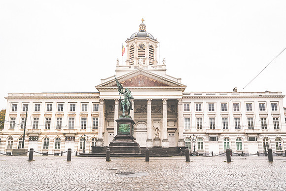 20231113-Bertaphoto-Europe-GOOSE-GSE04496