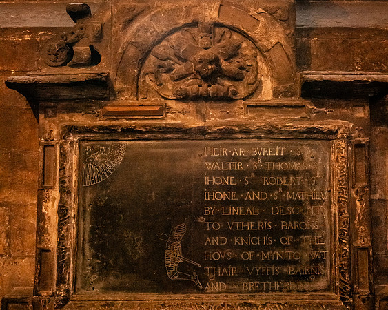 20231115-Bertaphoto-Europe-GOOSE-GSE05718