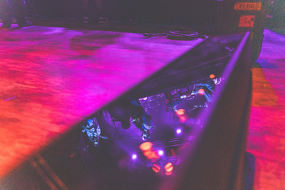 20231116-Bertaphoto-Europe-GOOSE-GSE07626