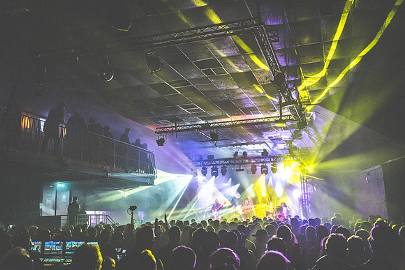 20231119-Bertaphoto-Europe-GOOSE-GSE00893