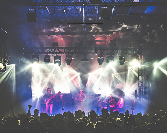 20231119-Bertaphoto-Europe-GOOSE-GSE01112
