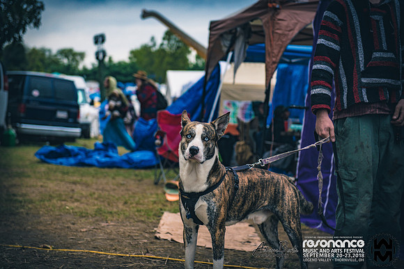 20180922-_RAW4754