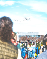 20231208-Bertaphoto-Goosemas-GOOSE-GSE02238
