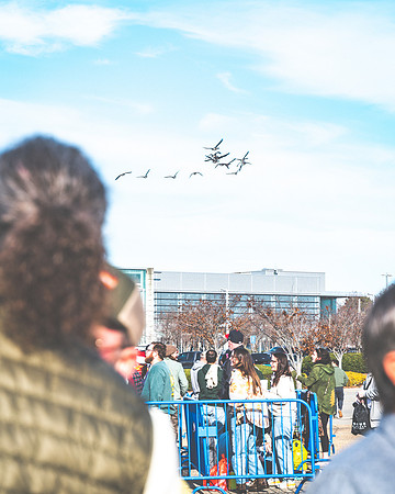 20231208-Bertaphoto-Goosemas-GOOSE-GSE02238