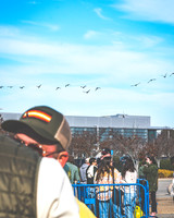 20231208-Bertaphoto-Goosemas-GOOSE-GSE02239