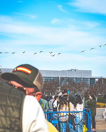 20231208-Bertaphoto-Goosemas-GOOSE-GSE02239