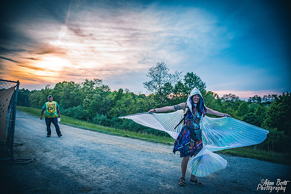 BFZ_7078