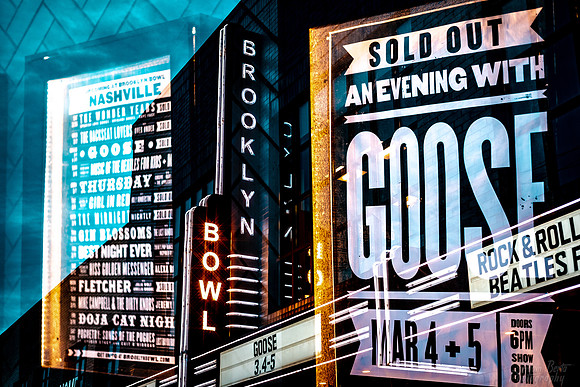 BertaGooseBrooklynBowl-1135