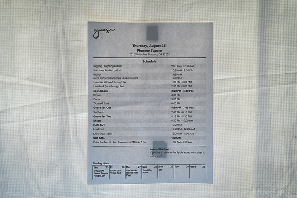20220825 - BertaGoose - 01543