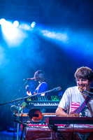 20220813 - BertaGoose - 02431