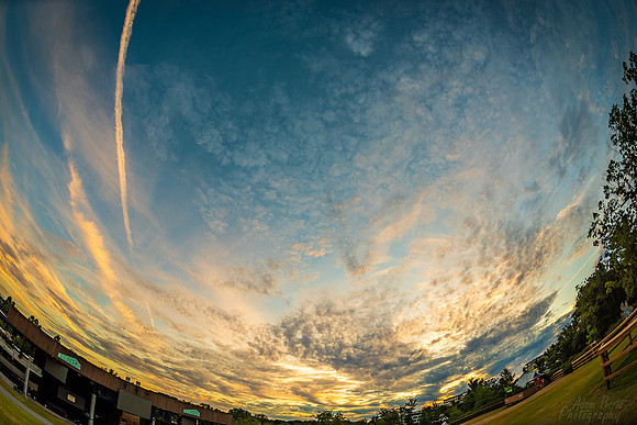 20220813 - BertaGoose -_-2