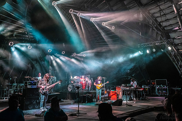20220813 - BertaGoose - 02485