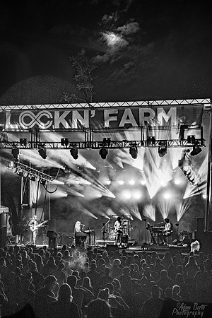 Adam Berta Fred Fest--28