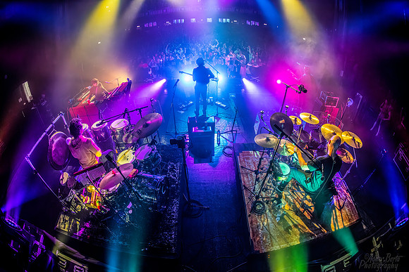 12312021BertaGooseChicagoMSN_5417-Edit