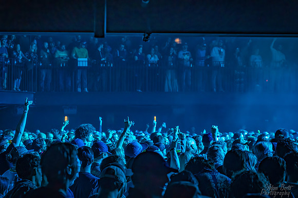 11062021-PKL03979-Edit-Edit-BertaGooseATL