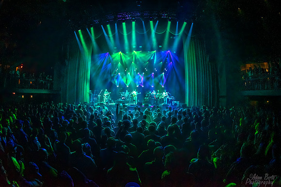 11062021-WRK_4526-HDR-Edit-2-BertaGooseATL