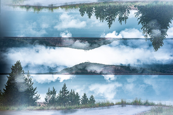 20220816 - BertaGoose -_-5
