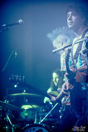 GSE07040