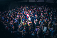 BertaGooseSeattleWA-