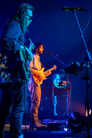 BertaGooseLouisvilleKY-01529