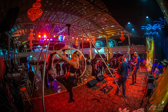 11132021-WRK_6061-Bertaphoto-Oddball