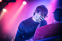 BertaGooseSeattleWA-00095