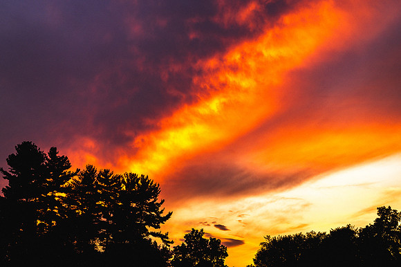Tuesday-AdamBertaPhoto-SD25_0715_210117-8725