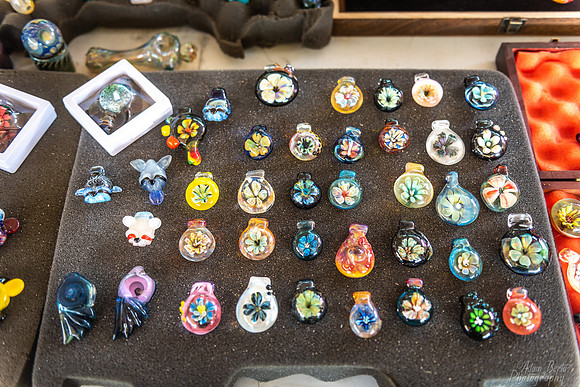 20220617 - BertaOhioDreamfest -11  8157_
