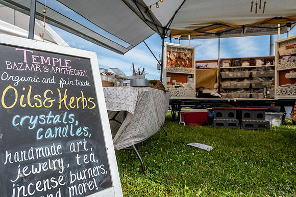 20220617 - BertaOhioDreamfest -37  _
